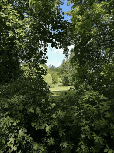 Eine Hecke ist so angelegt, das man wie durch einen -Tunnel hindurch sehen kann