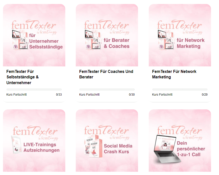 Bild auf dem vorlagen zu sehen sind, was femTexter alles kann